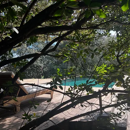 La Canopée Private * Nîmes