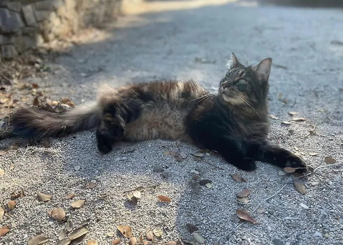 La Canopée Private Nîmes