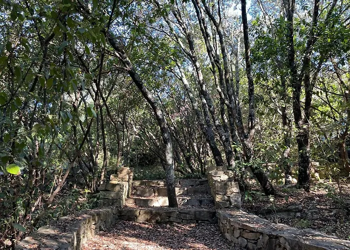 La Canopée Private Lodge